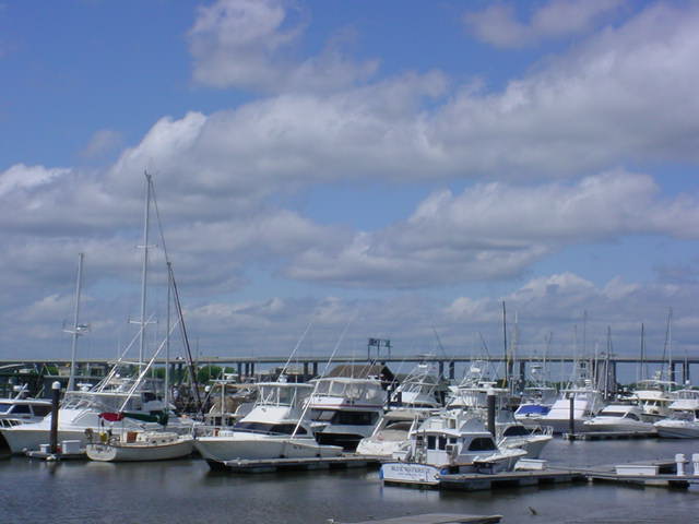 Charleston City Marina